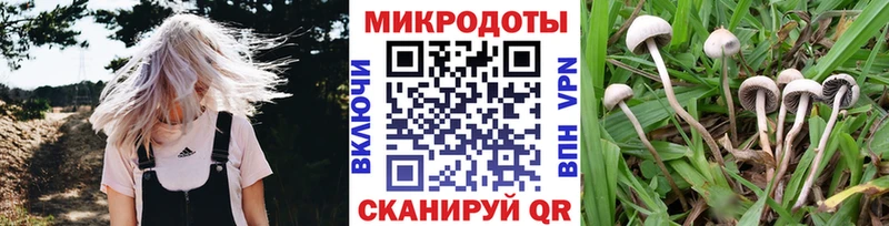 Галлюциногенные грибы Psilocybine cubensis Кулебаки